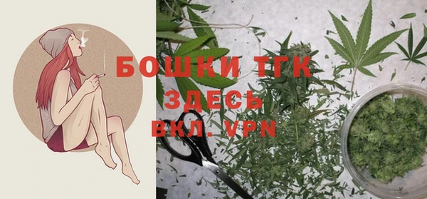 прущие крисы Пересвет