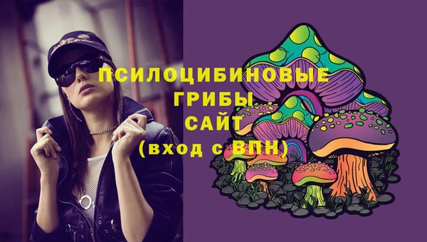 бошки Покровск