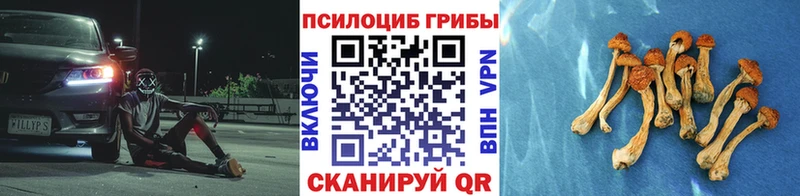 Галлюциногенные грибы ЛСД  купить наркотики сайты  Черкесск 