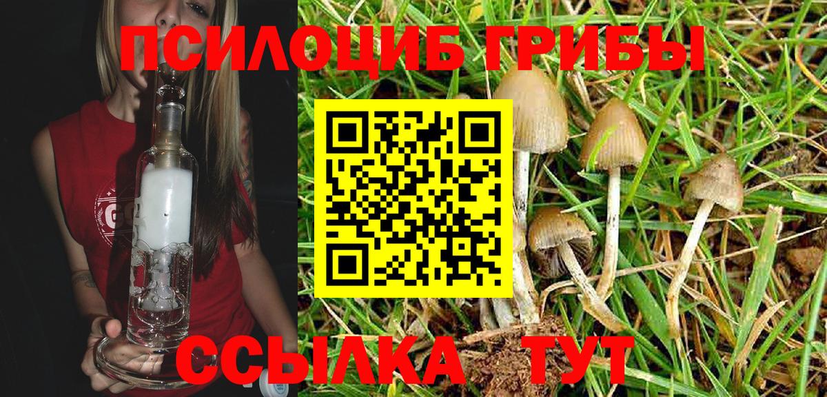 Черкесск  Псилоцибиновые грибы MAGIC MUSHROOMS  Псилоцибиновые грибы Cubensis  Вход с VPN 
