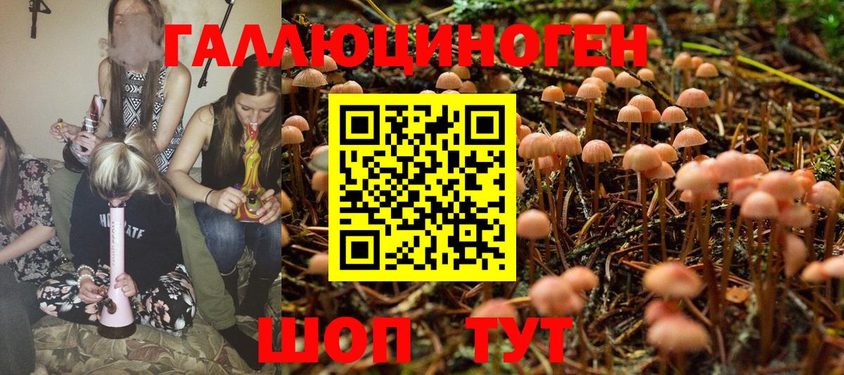 Галлюциногенные грибы мицелий Черкесск