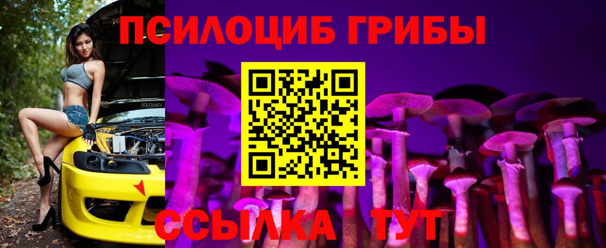 Псилоцибиновые грибы ЛСД Черкесск